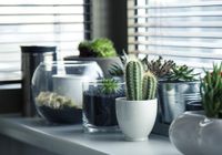 pots-716579_1280.jpg