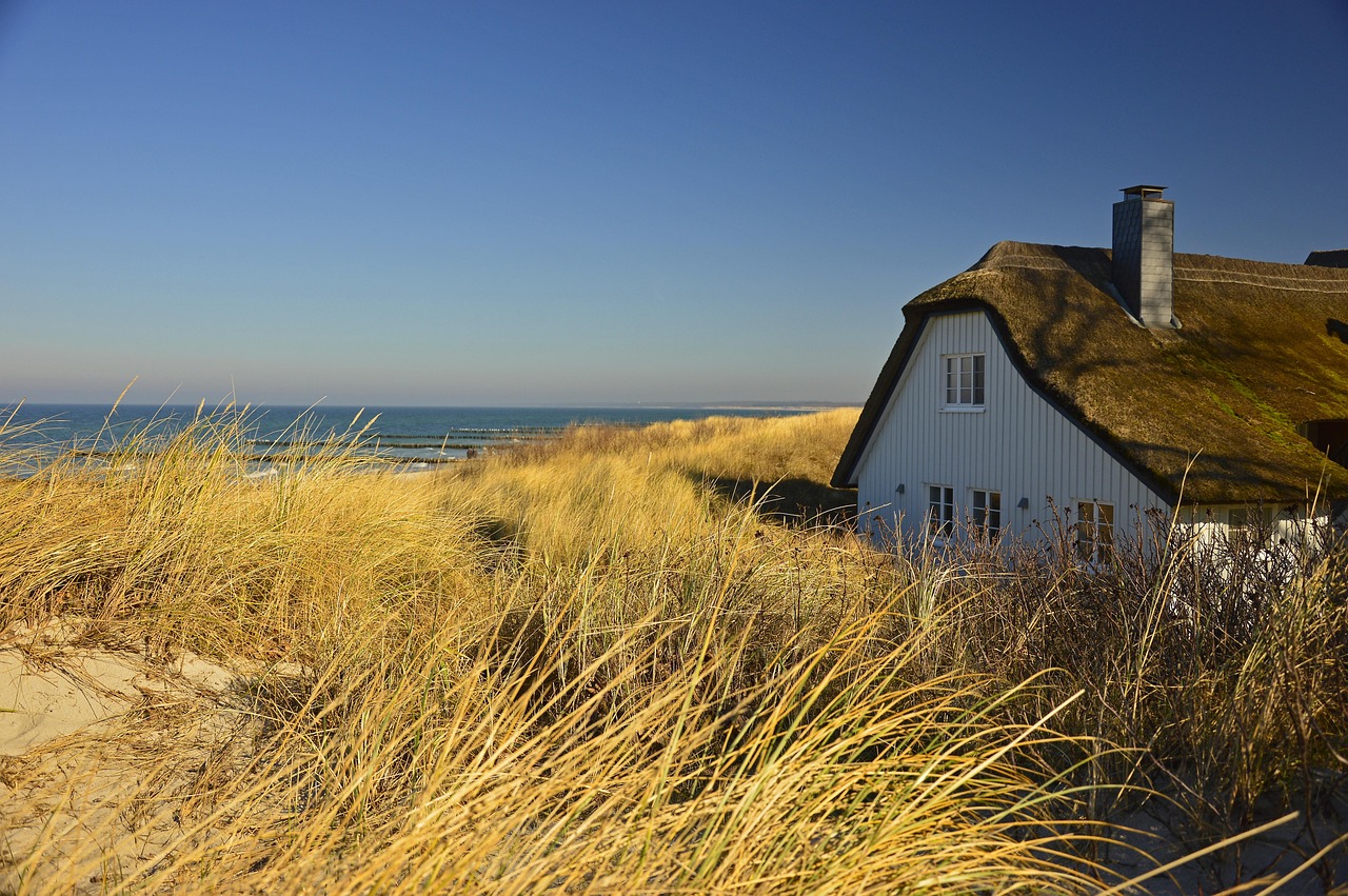 house-4028391_1280.jpg