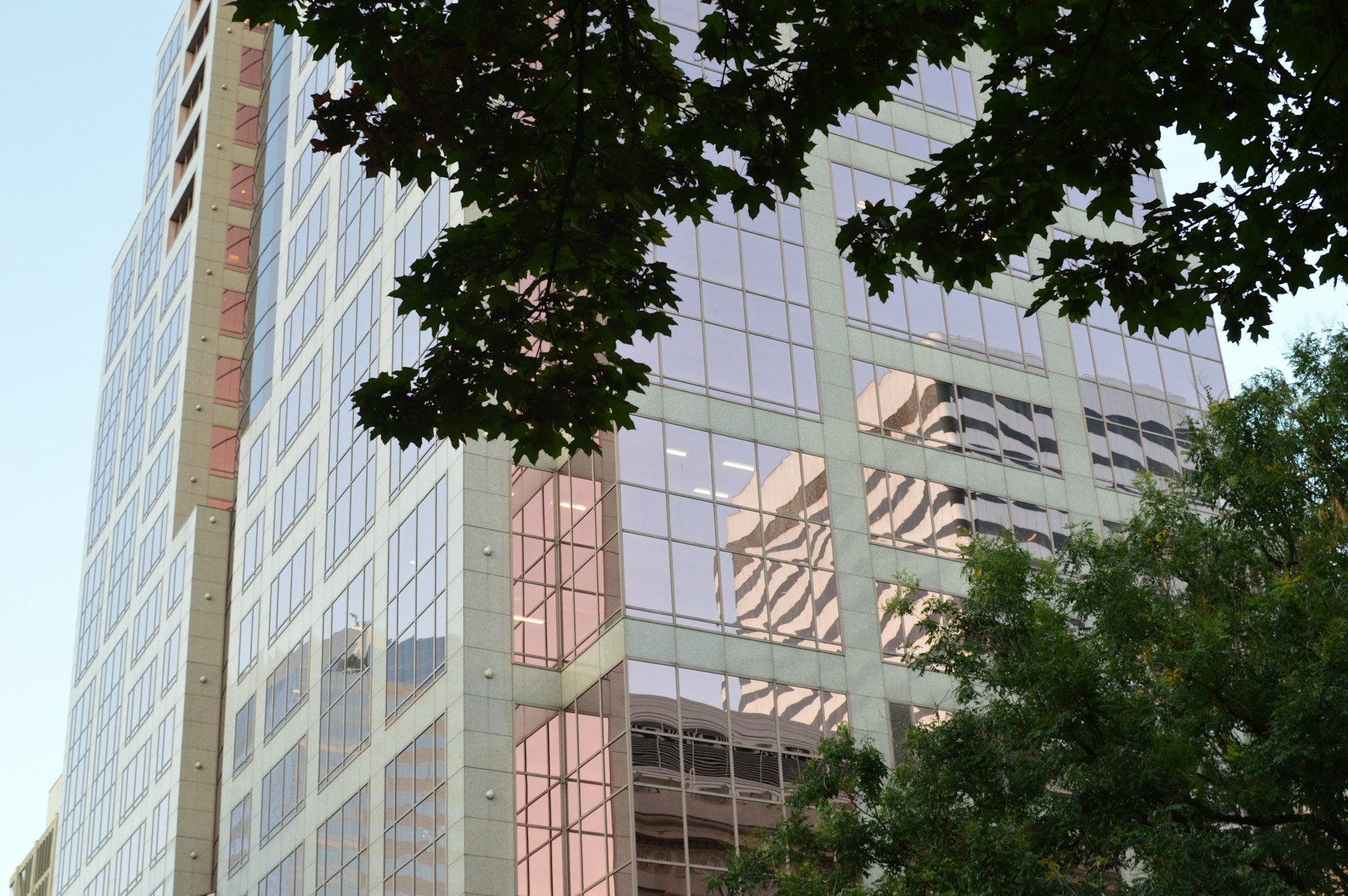 Glass office tower with reflective windows framed by tree branches, an example of commercial real estate