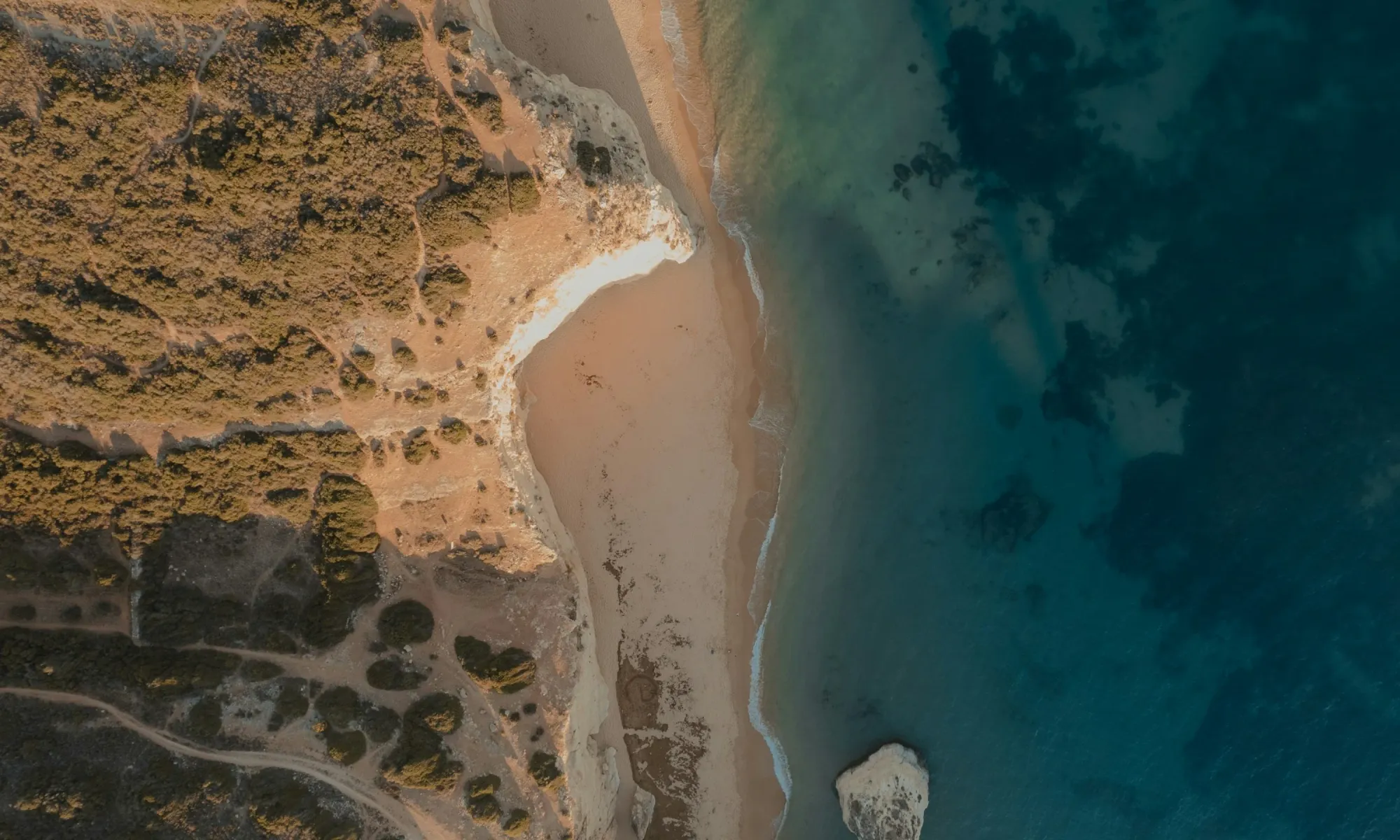 Tokenization in Portugal: From Sunlit Homes to Digital Shares