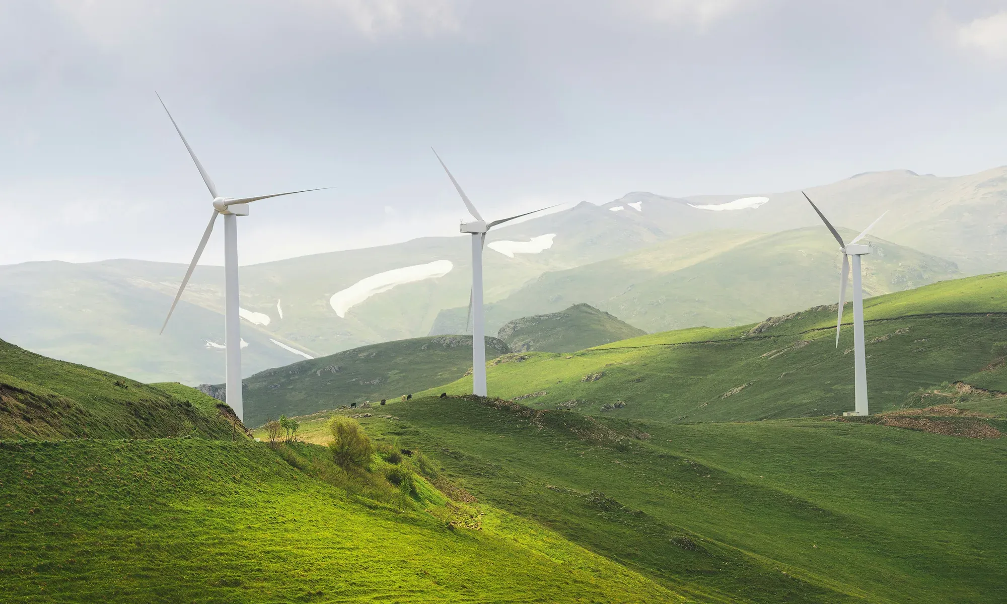 Green Bond Tokenization: Bringing Green Finance to the Blockchain