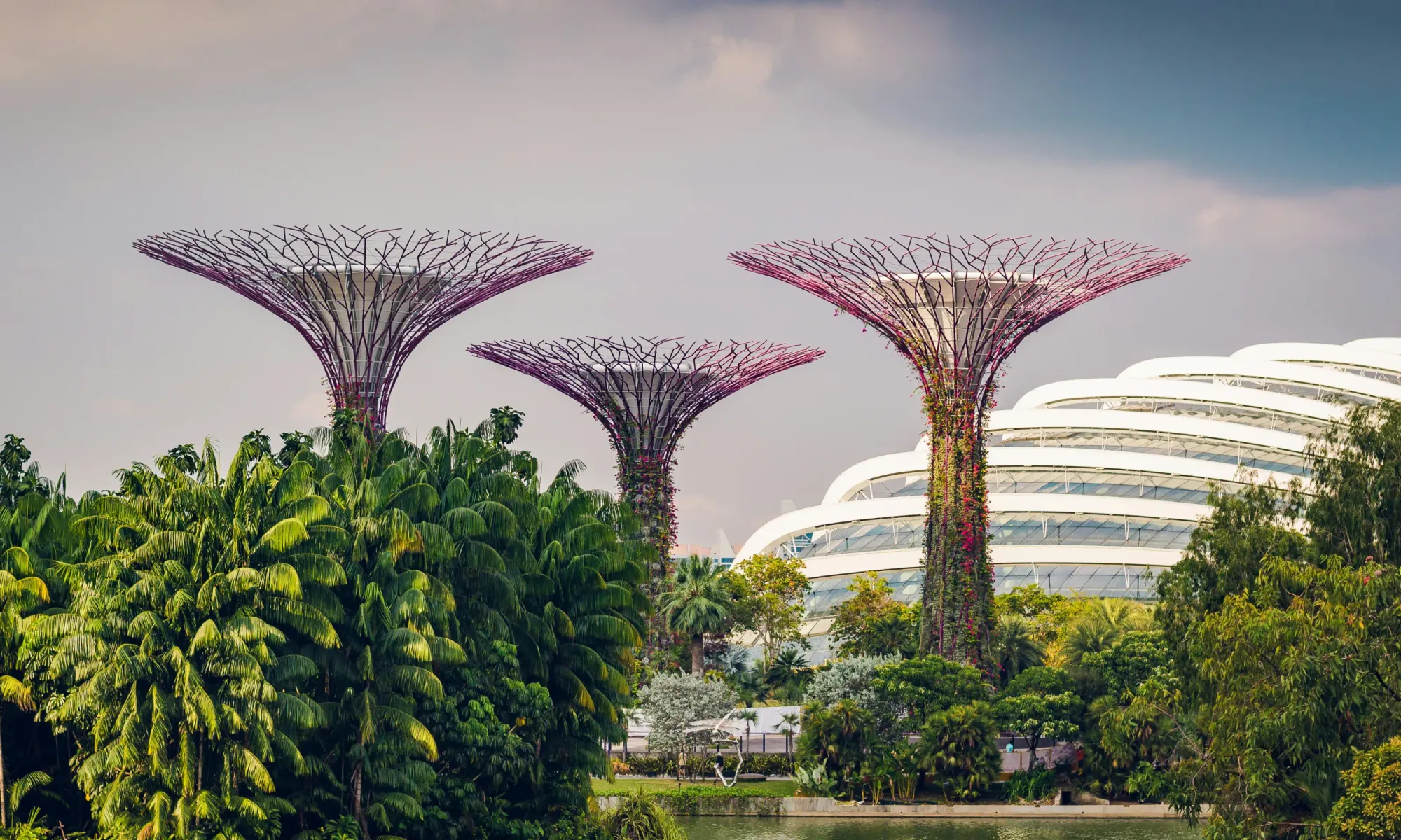 Tokenization in Singapore: Opening Real Estate to the Digital Future