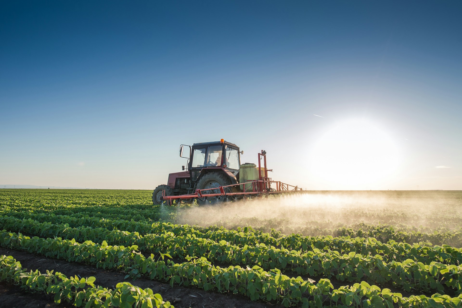 Tractor spraying a soybean crop field at sunset