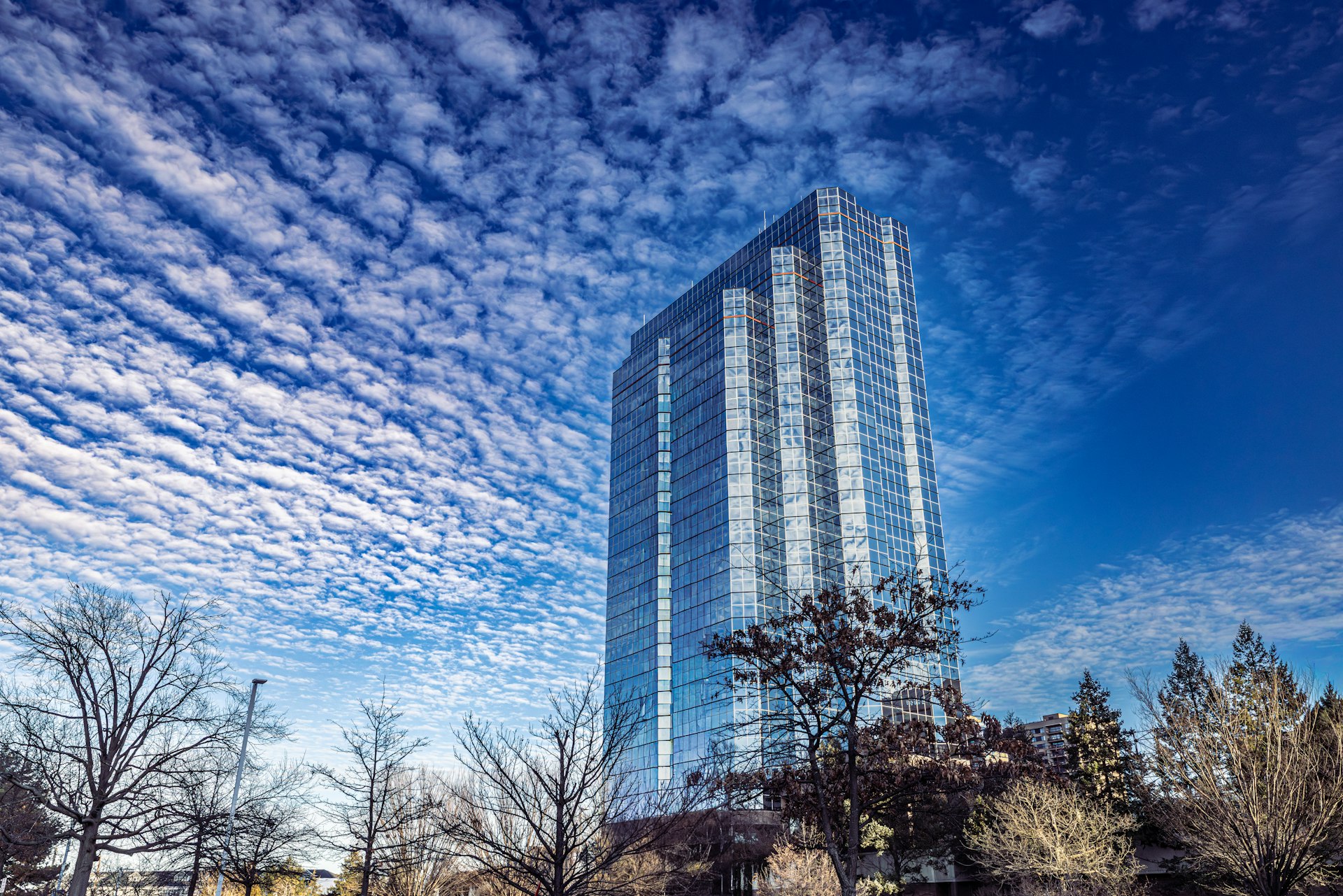 Modern skyscraper against blue sky