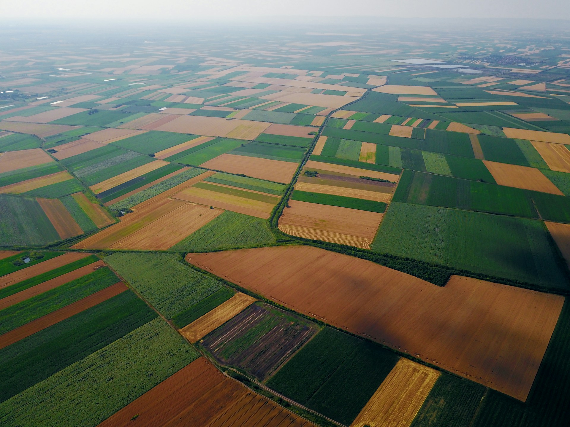 Aerial view of a patchwork of agricultural crop fields