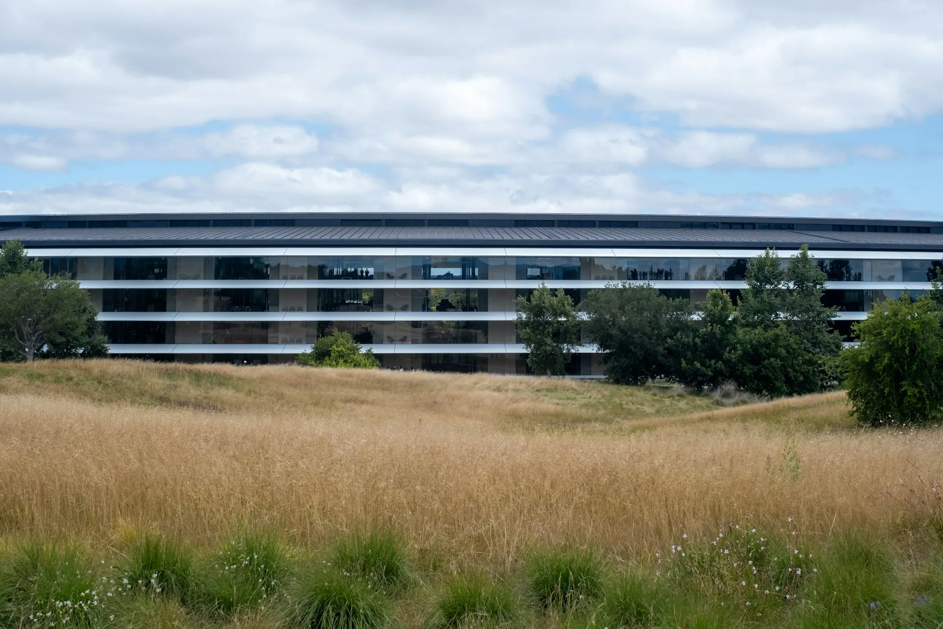 Bright modern office building exterior