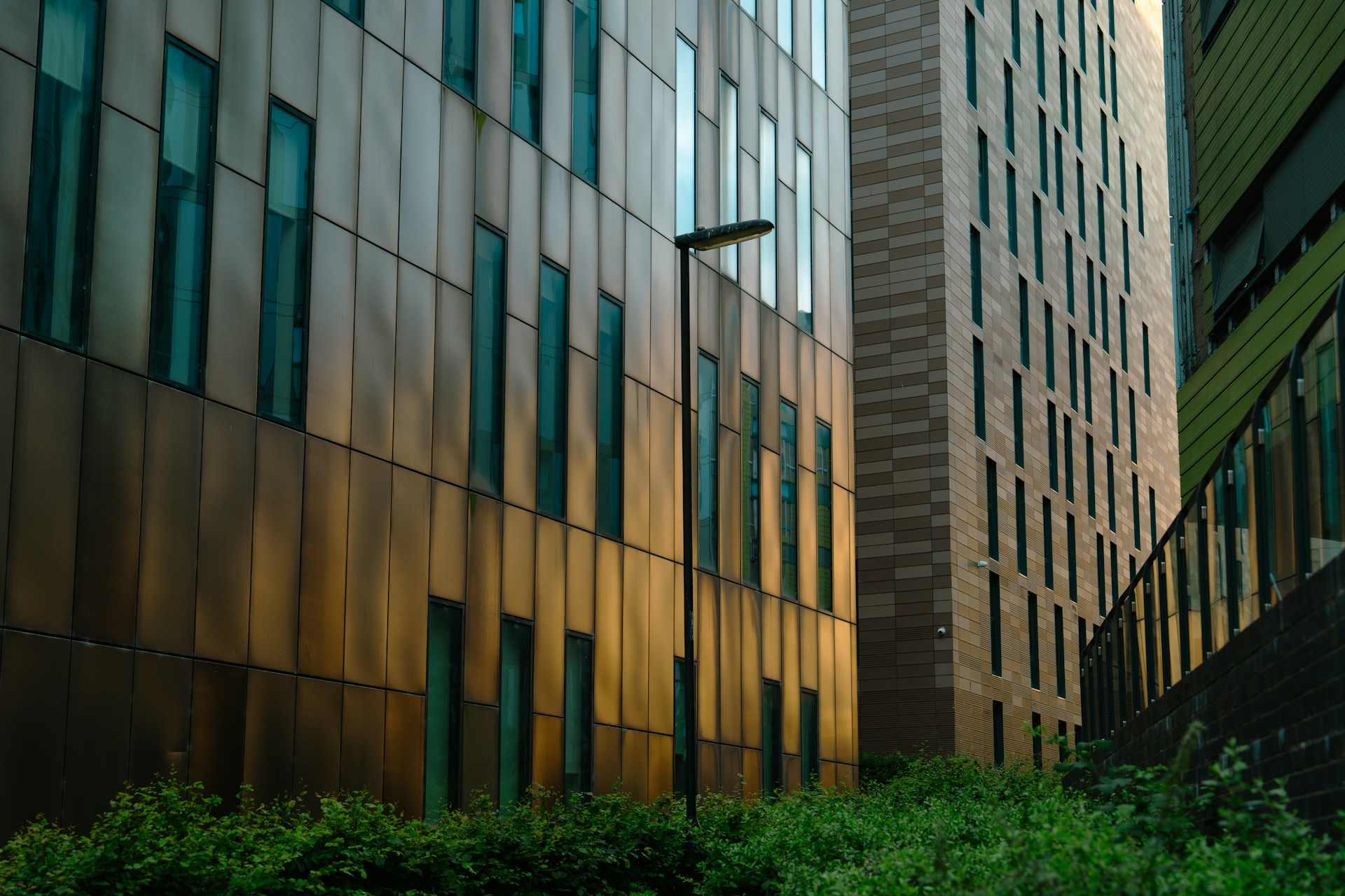 Modern office buildings with bronze and brick facades above green landscaping